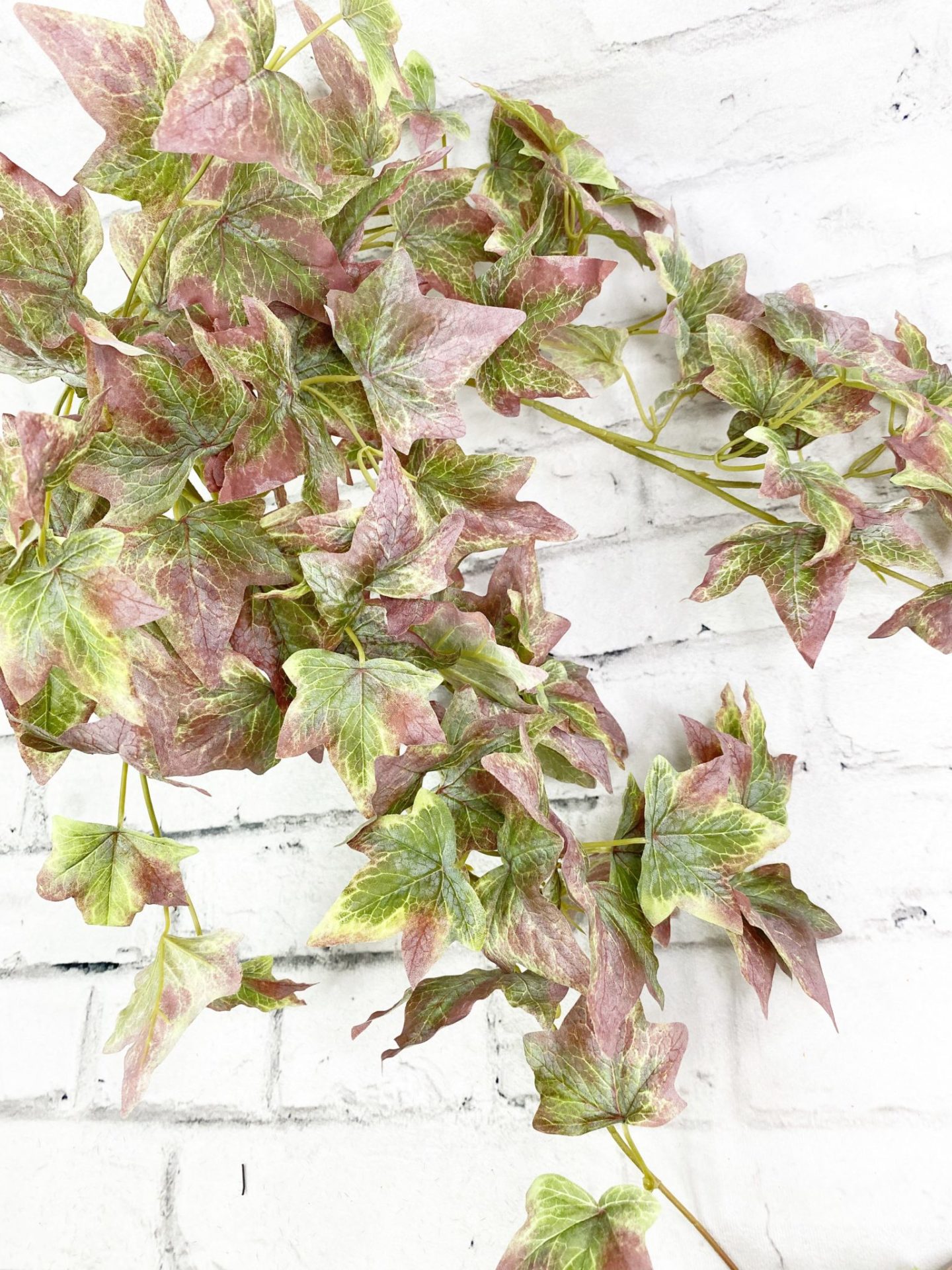 Green and Red-Brown Ivy Hanging Bush - Kelea's Florals