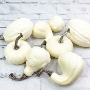 Bag of 5 Assorted Cream Pumpkins 59050 (7)