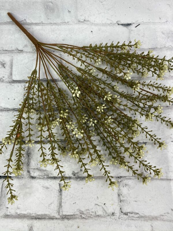 Beige Eucalyptus Seeds Bush - Kelea's Florals