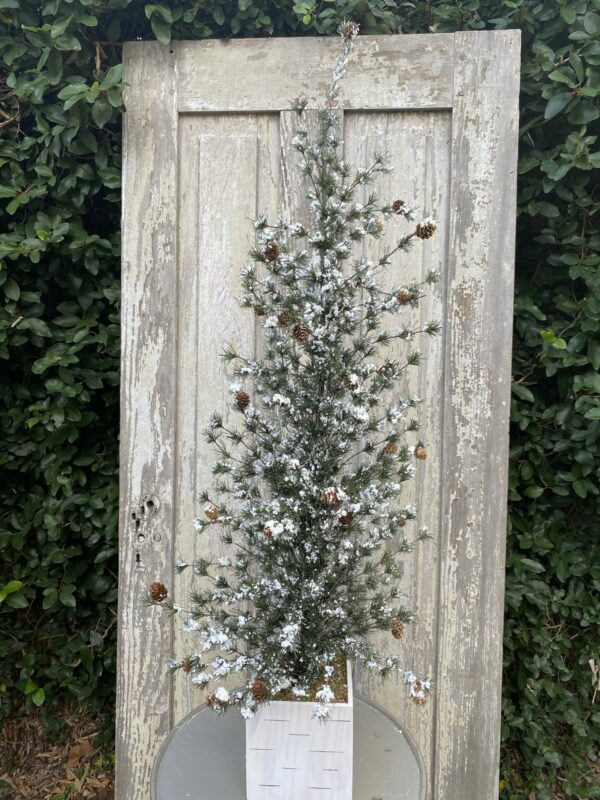 Large Snow Ming Pine Tree Kelea's Florals