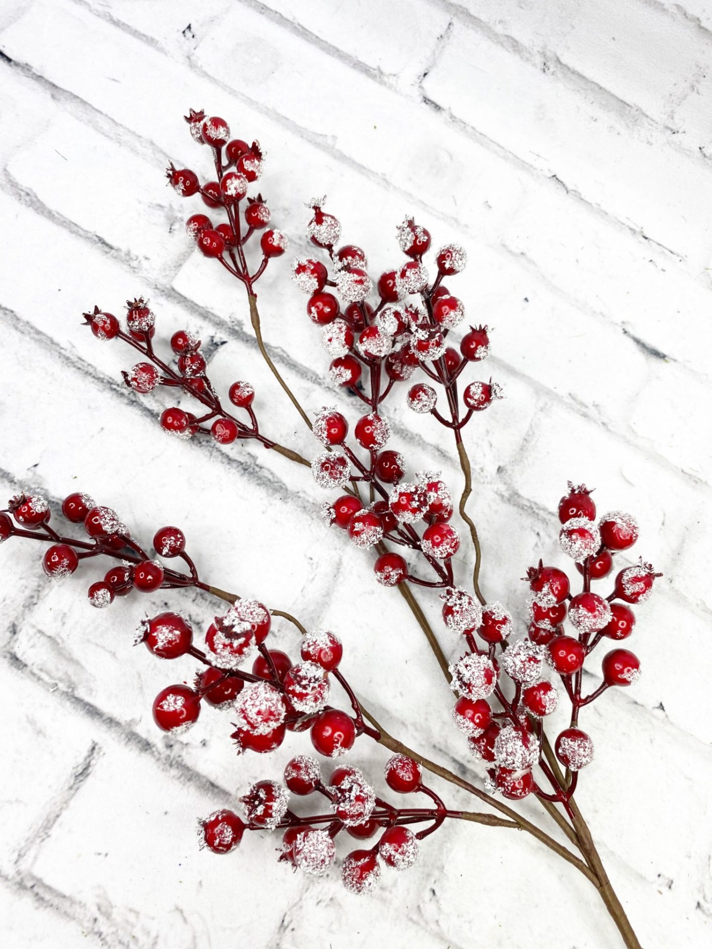 Red Raspberry Stems Winter Red Berry Stem with Snow - Kelea's Florals