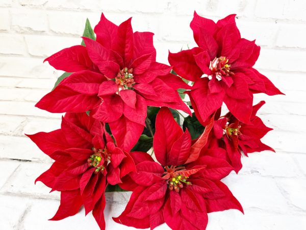 18in Velvet Poinsettia Bush 60816 (1)