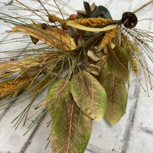 Fall magnolia Leaf Stem (1)