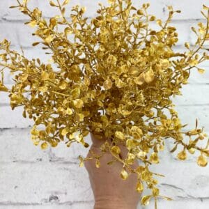 Brown boxwood bush with small branching leaves for autumn floral designs