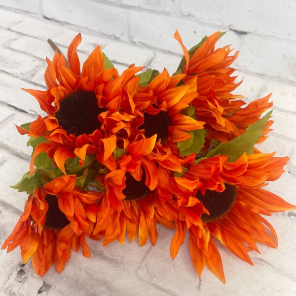 sunflower 2本 25+ Seeds-Moonshine Sunflower Seeds #E034 – PEMDASGARDEN