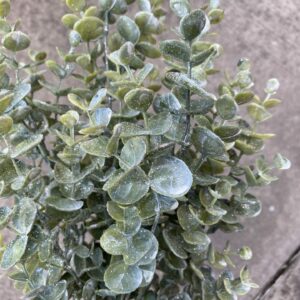 18in Glittered Eucalyptus Bush 85042WT (1)