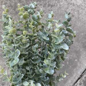 18in Glittered Eucalyptus Bush 85042WT (2)