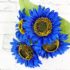 Blue Sunflower Bush