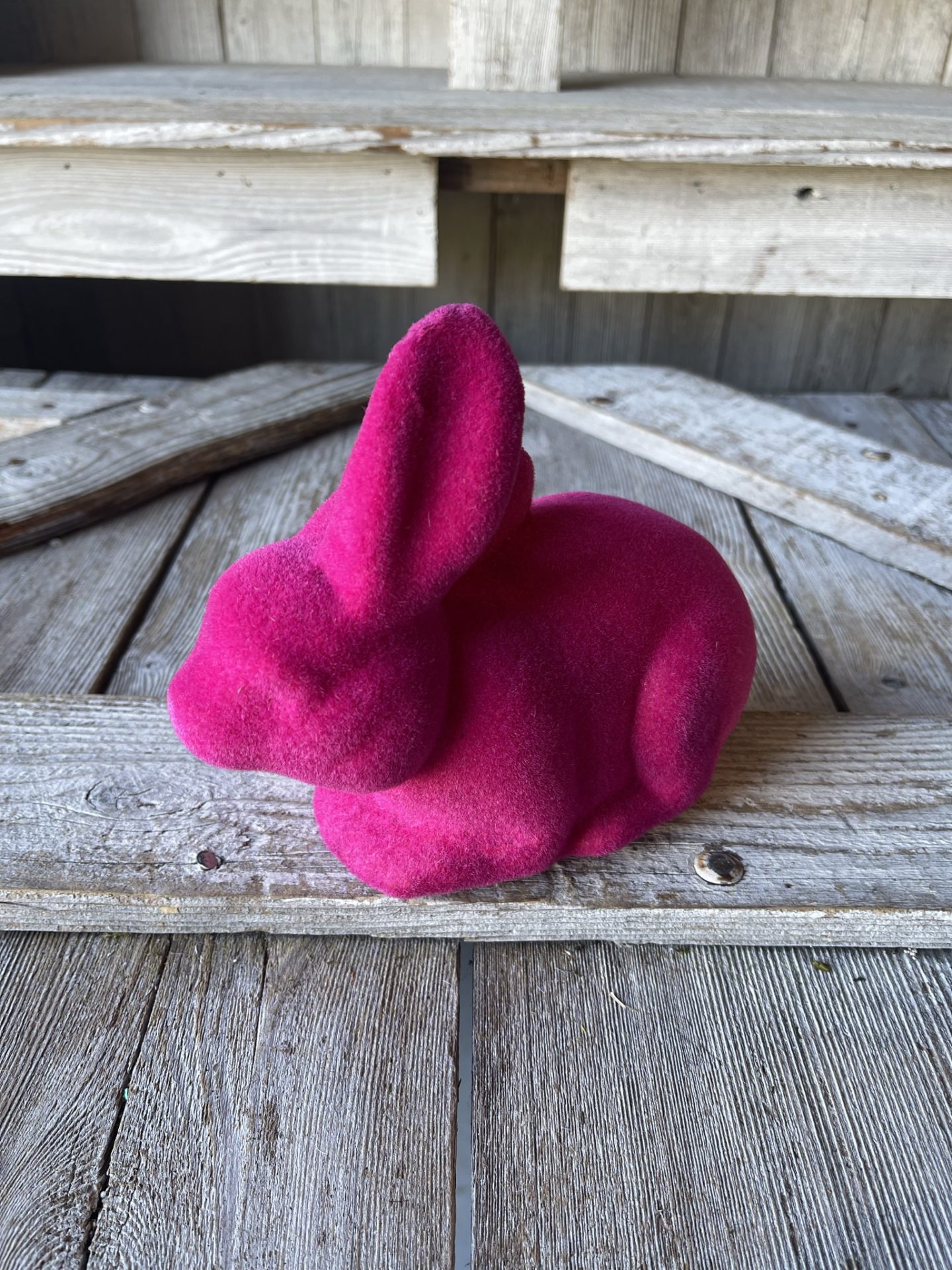 Small Rabbit Fuchsia - Kelea's Florals