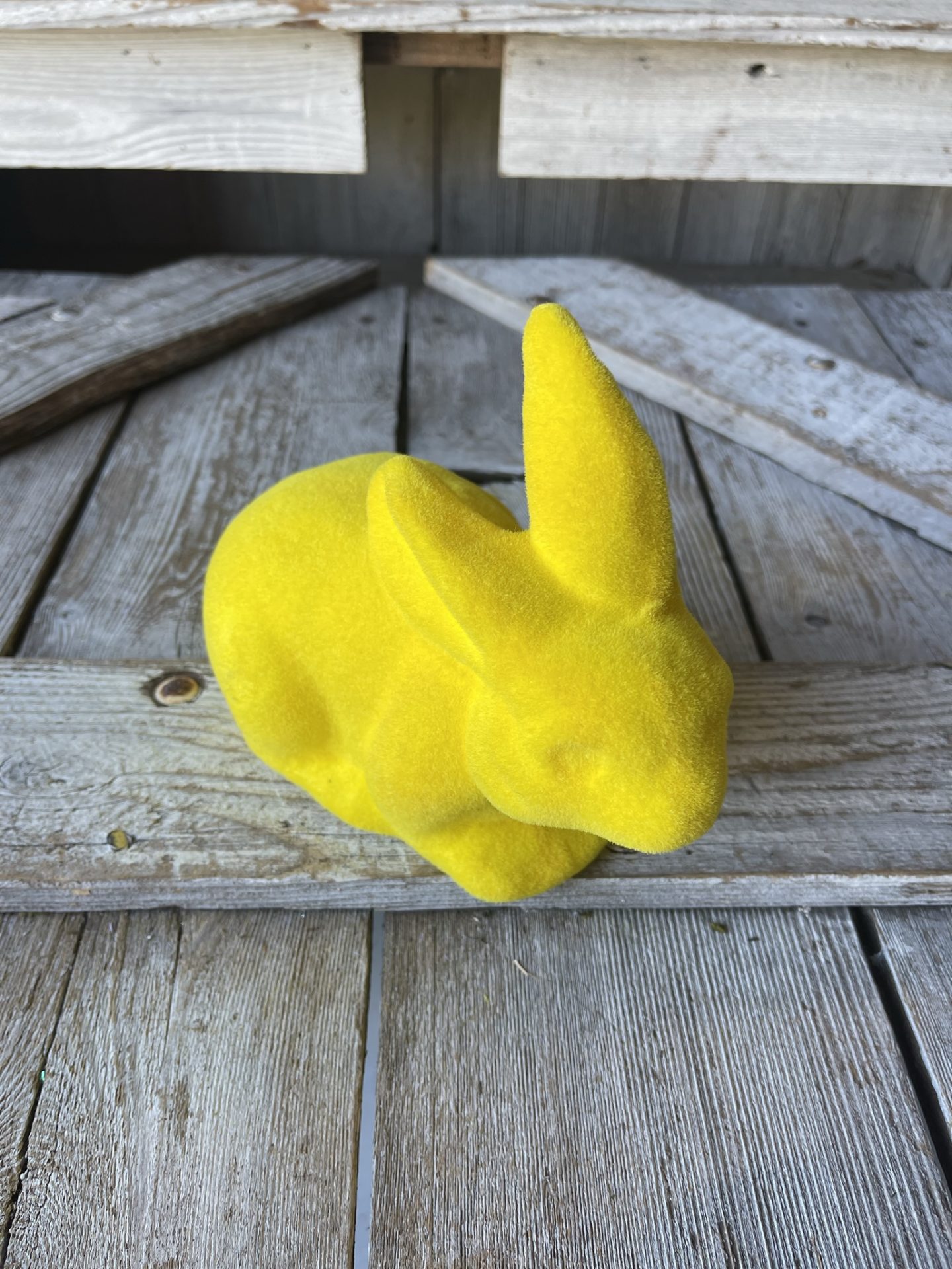 Yellow Rabbiy Small Rabbit Yellow - Kelea's Florals