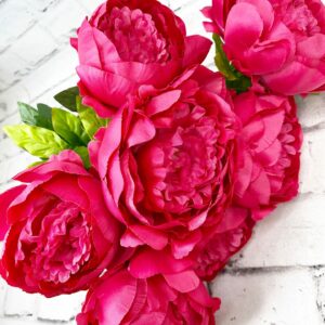 Peony Bush