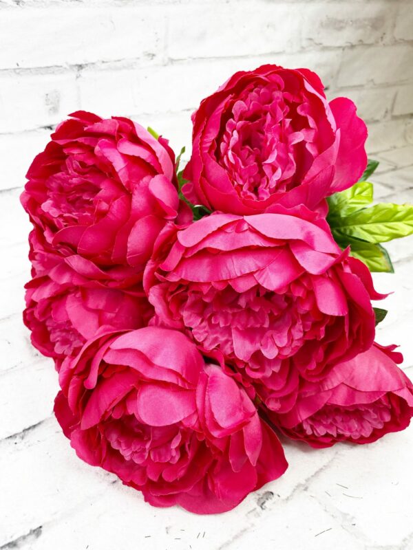 Peony Bush
