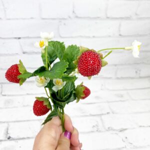 Strawberry Pick