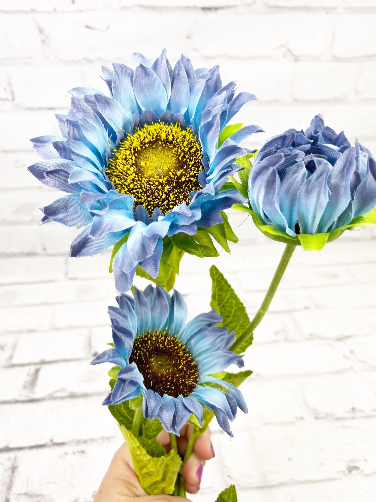 Blue Sunflower Stem - Kelea's Florals