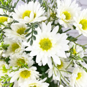 White Mini Daisy Bush