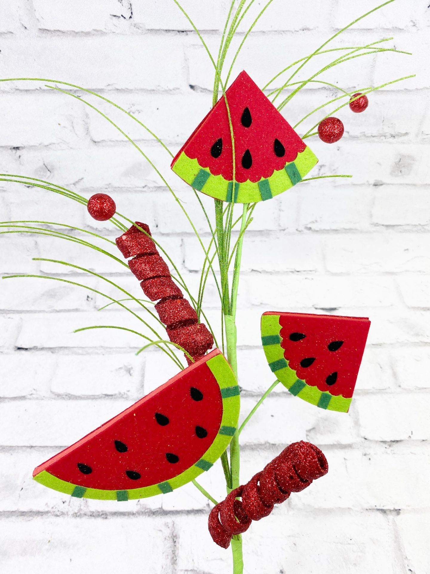 Watermelon Stem Kelea's Florals