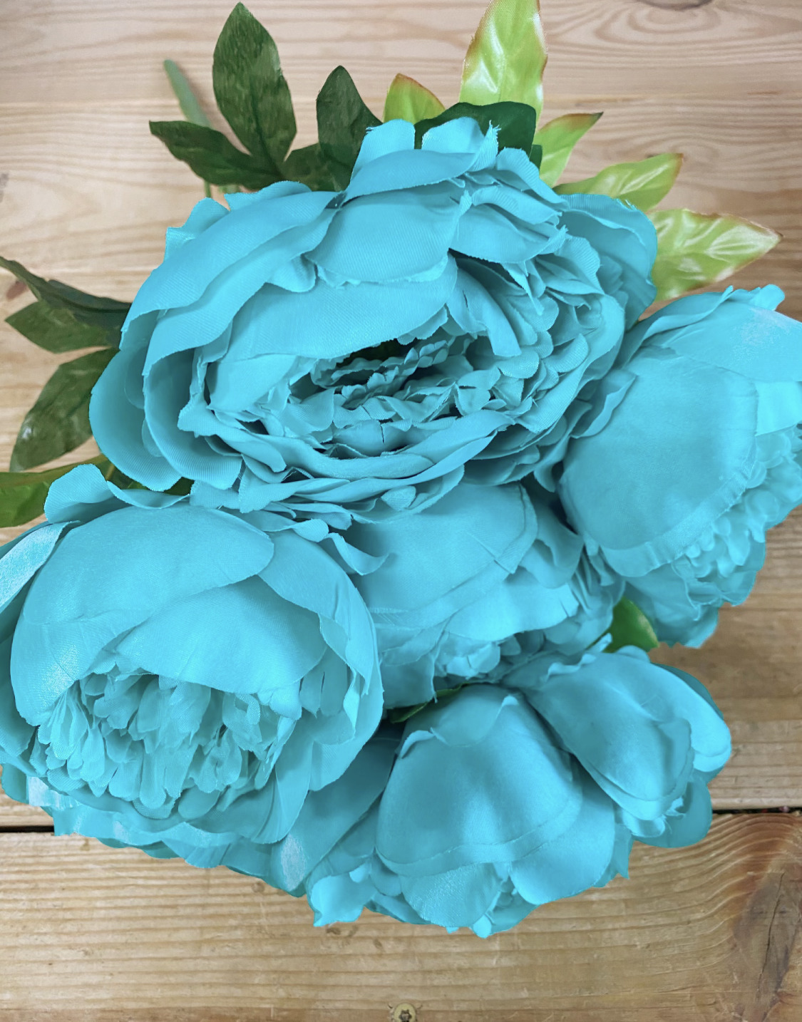 ✳︎peony✳︎ Memory_Box_Gentle_Peony_Bloom_
