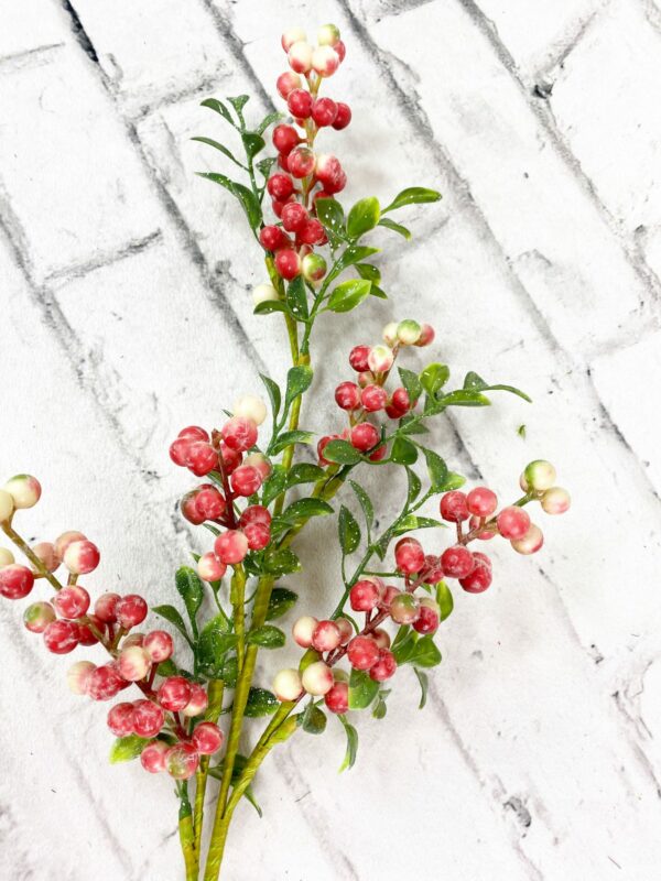 Red Berry Spray