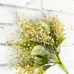 Beige Berry Bundle