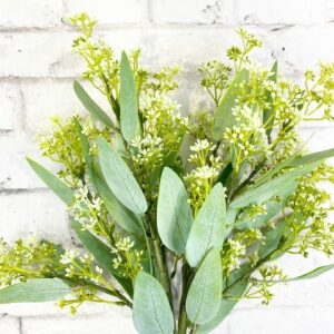 Eucalyptus Seeds Bush Cream