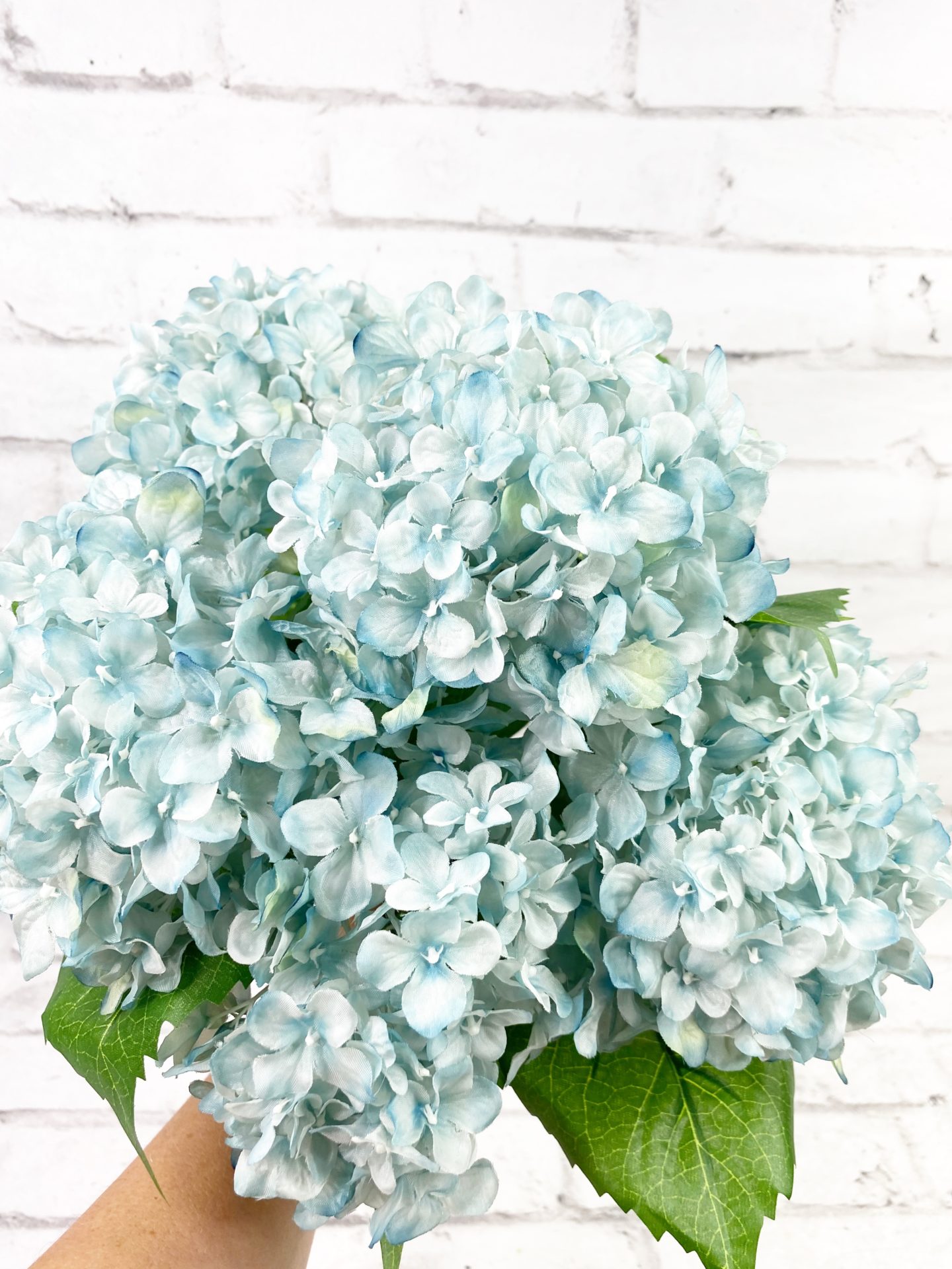 Light Blue Hydrangea Bush - Kelea's Florals
