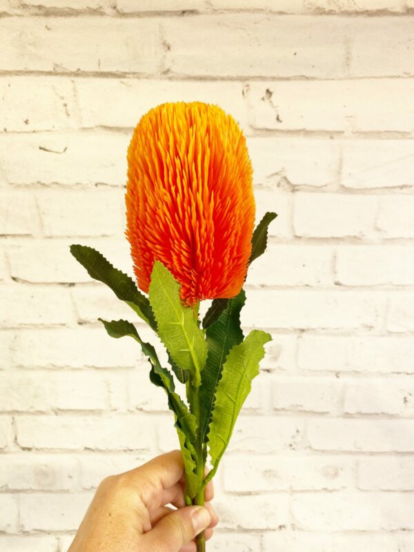 Back Sia Spray Orange
