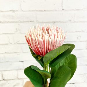 Needle Protea Spray Pink