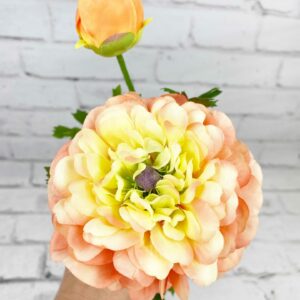 Corral German Ranunculus Stem