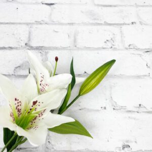 white flower