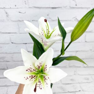 white flower