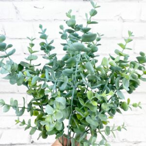 Blueish Green Eucalyptus Bush
