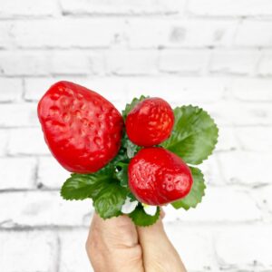 Strawberry Pick