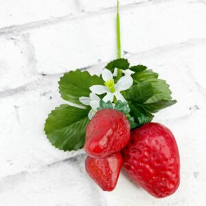 9in Strawberry Pick 29441RD (4)