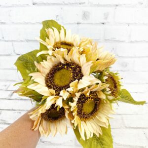 Beige Sunflower Bundle