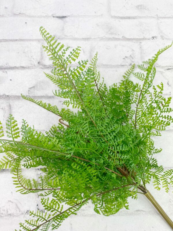 14 in Green Leather Fern Bush