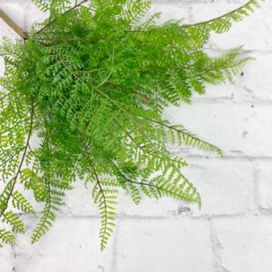 14 in Green Leather Fern Bush