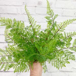 14 in Green Leather Fern Bush