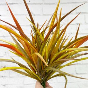 Fall Grass Bush