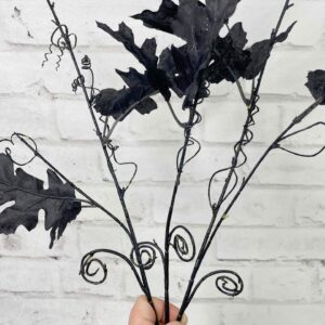 Black Oak Leaves Stem