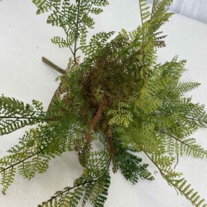 Brown Green Leather Fern Bush