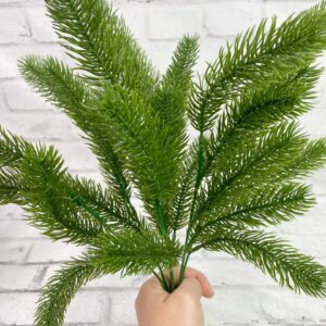 Angel Pine Bush