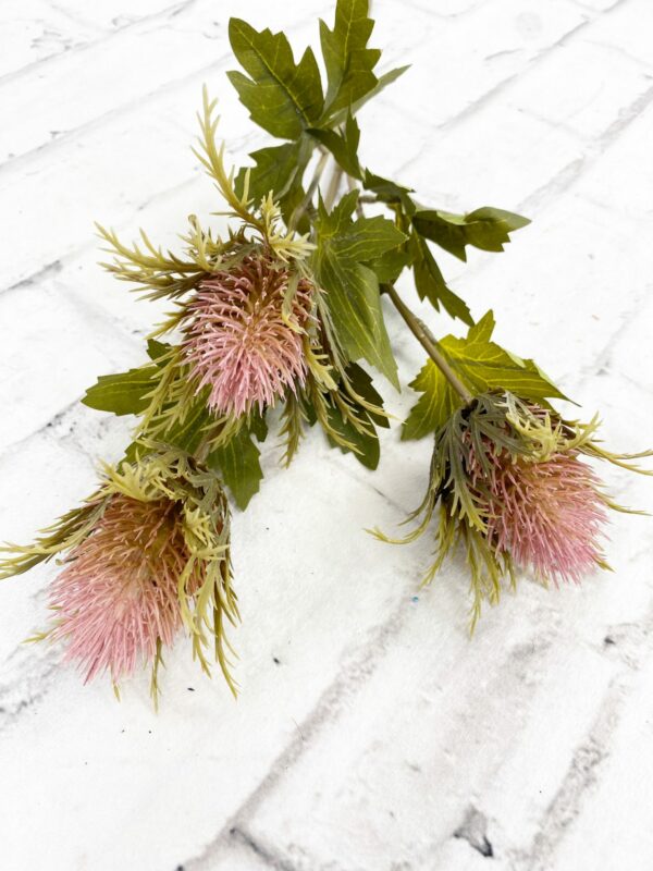 Mauve Teasel Stem