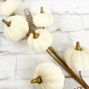 Cream-Velvet-Pumpkin-Stem