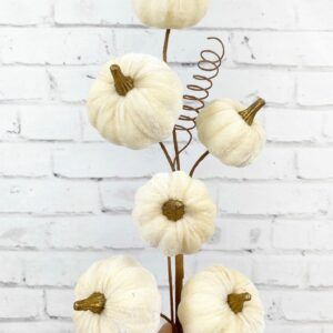 Cream-Velvet-Pumpkin-Stem