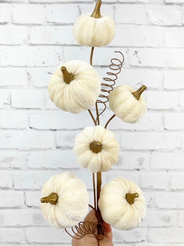Cream-Velvet-Pumpkin-Stem