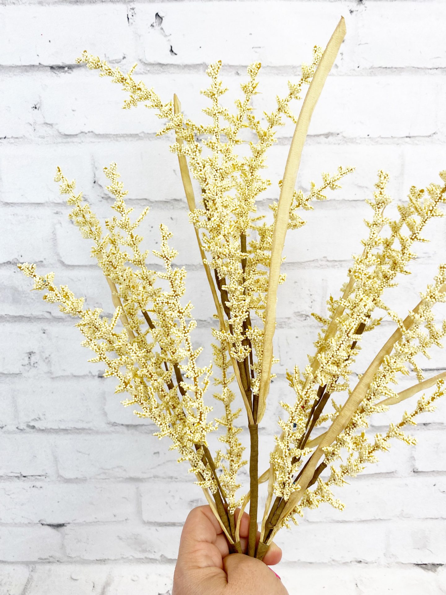 Cream Feather Reed Grass Spray Kelea's Florals