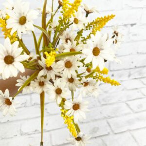 Cream-Daisy-Filler-Bush