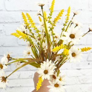 Cream-Daisy-Filler-Bush