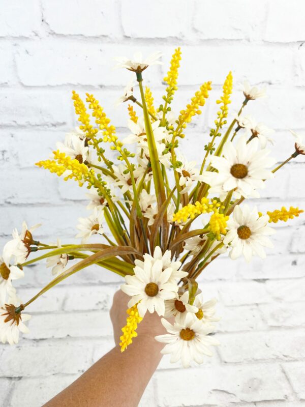 Cream-Daisy-Filler-Bush