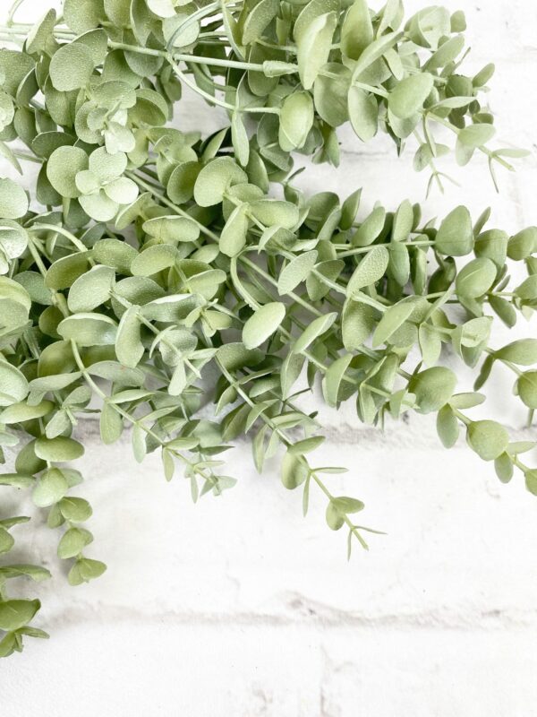 20 in Light Green Eucalyptus Bush